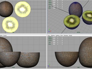 kiwi 3D मॉडल
