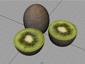 kiwi 3D मॉडल