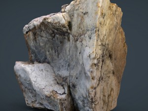 rock 1 3D Model