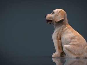 decorative dog garden 3D Model
