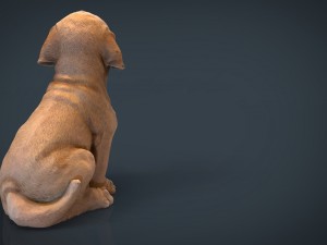 decorative dog garden 3D Model