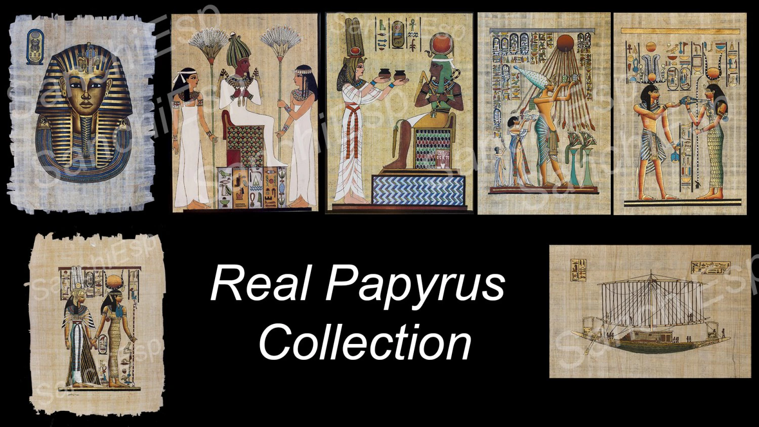 7x real papyrus collection CG Textures .c4d .max .obj .3ds .fbx .stl .blend 