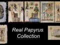 7x real papyrus collection CG Textures