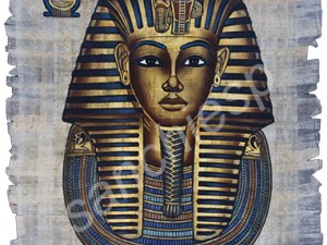 7x real papyrus collection CG Textures
