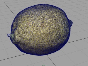 lemon 3D 모델