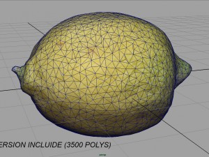 lemon 3D 모델