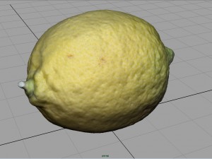 lemon 3D 모델