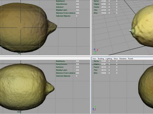 lemon 3D 모델