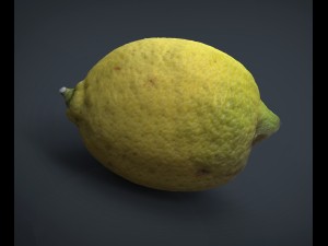 lemon 3D 모델