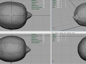lemon 3D 모델