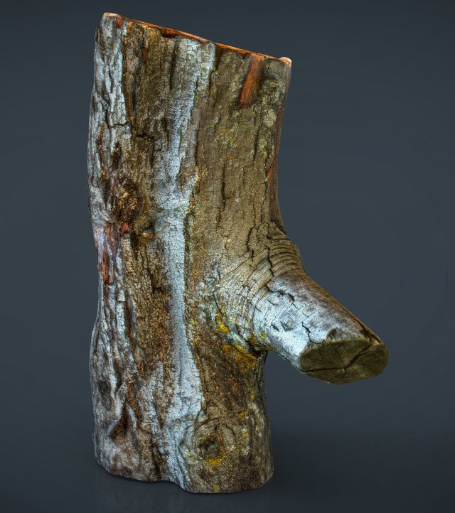 wood log 1 Model 3D .c4d .max .obj .3ds .fbx .stl .blend 