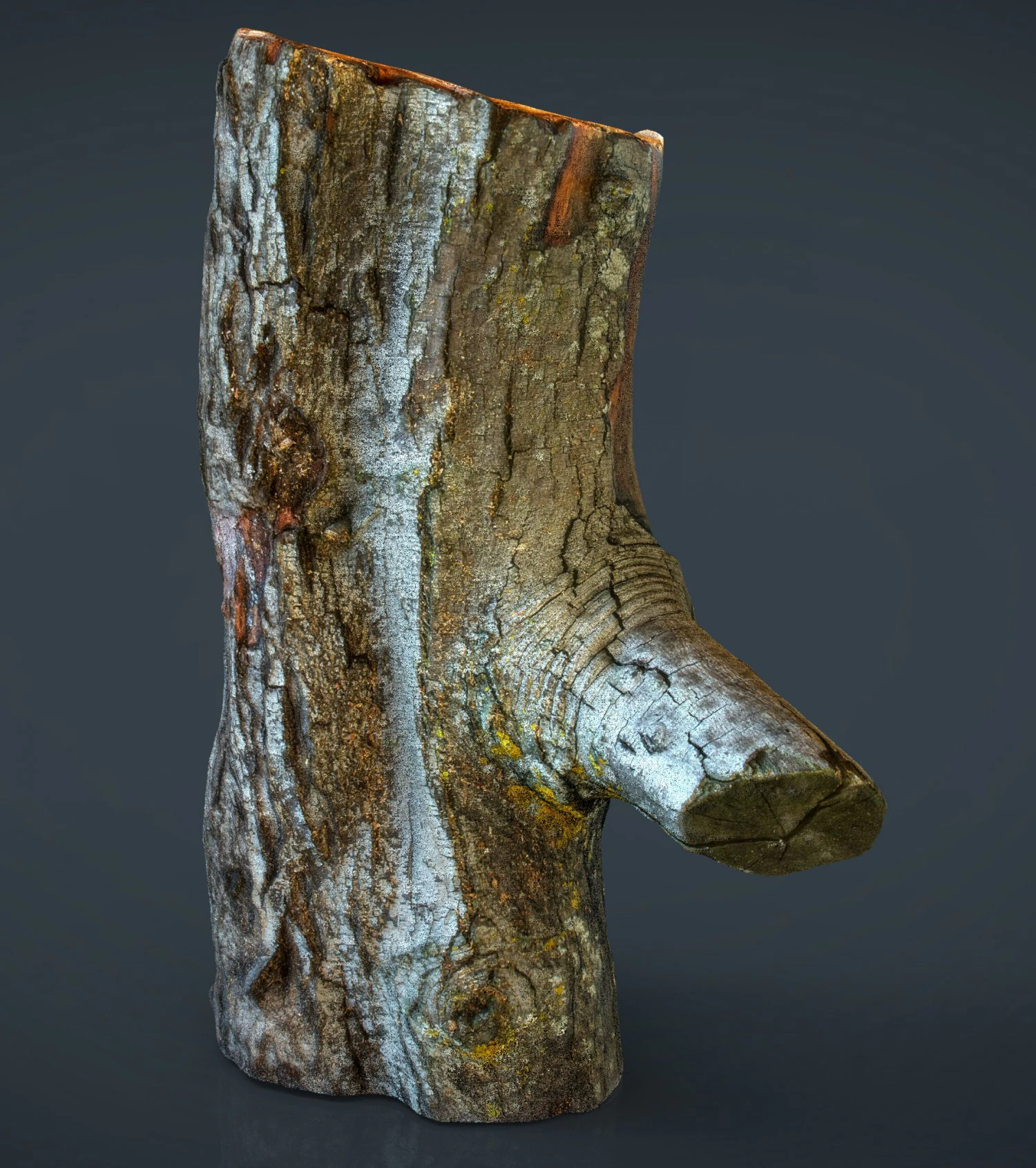 wood log 1 3D Model .c4d .max .obj .3ds .fbx .stl .blend