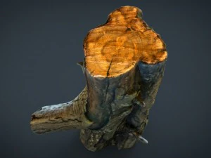 wood log 1 3D Model