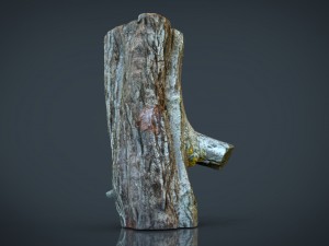 wood log 1 Model 3D