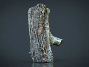 wood log 1 3D Model