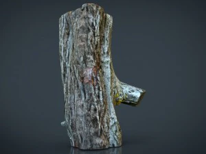 wood log 1 3D Model