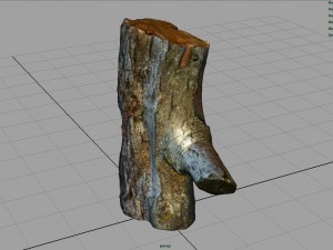 wood log 1 Model 3D