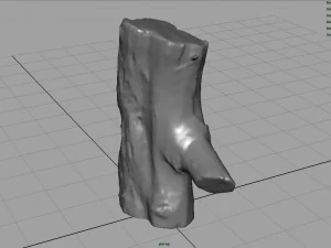 wood log 1 3D Model