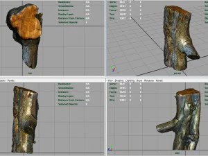 wood log 1 3D Model