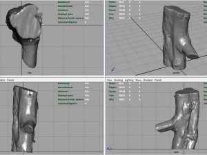 wood log 1 Model 3D