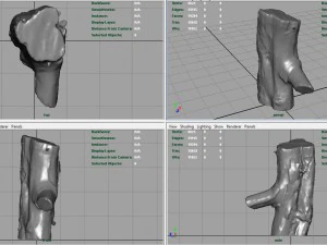 wood log 1 3D Model