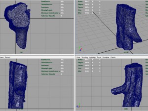 wood log 1 Model 3D