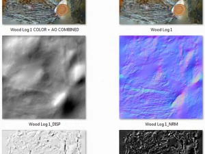 wood log 1 3D Model