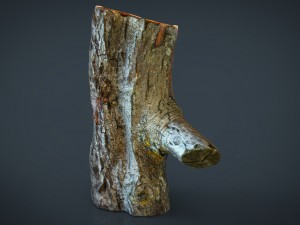 wood log 1 Model 3D
