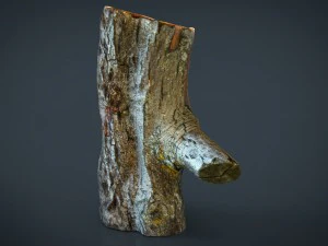 wood log 1 3D Model