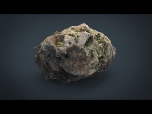 rock 6 3D मॉडल
