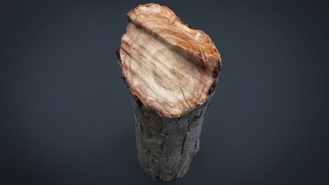 wood log 2 Modèle 3D .c4d .max .obj .3ds .fbx .stl .blend 