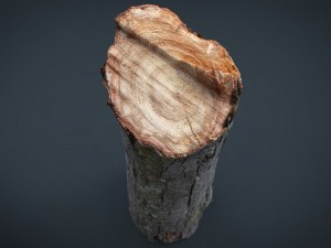wood log 2 3D-Modell