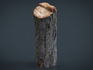 wood log 2 Modèle 3D