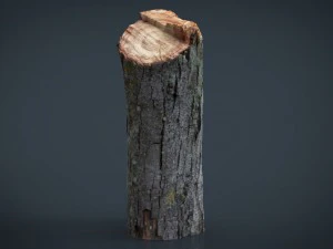 wood log 2 3D Model