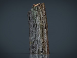 wood log 2 Modèle 3D