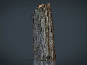 wood log 2 3D Model