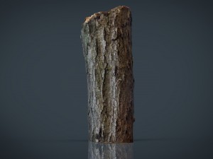 wood log 2 Modèle 3D