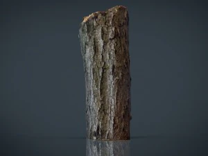 wood log 2 3D Model