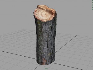 wood log 2 Modèle 3D