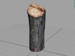 wood log 2 3D Model