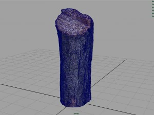 wood log 2 3D Model