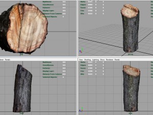 wood log 2 Modèle 3D
