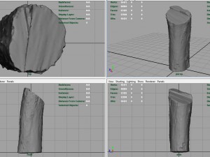 wood log 2 Modèle 3D
