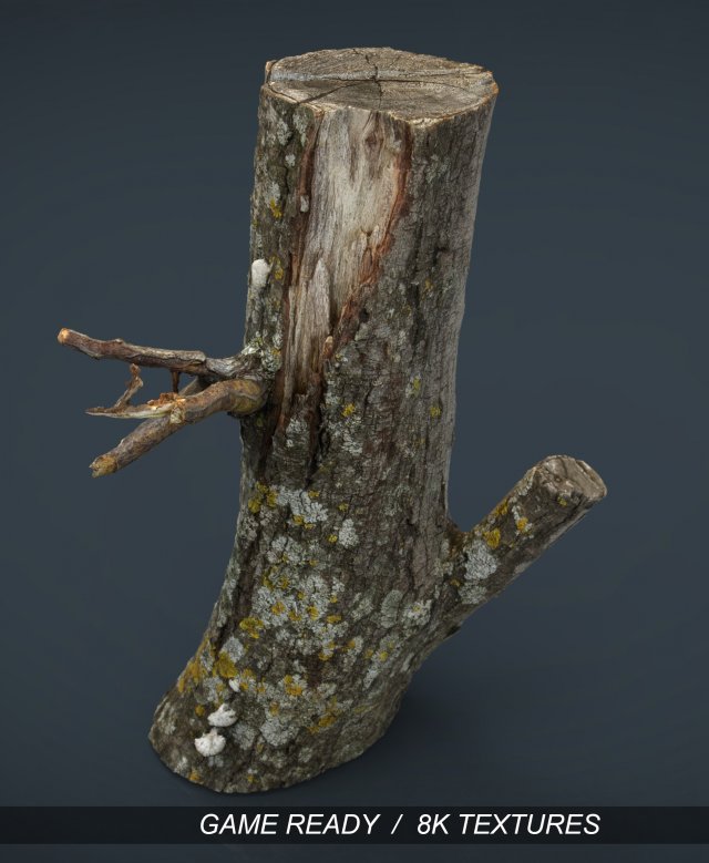 wood log 3 3D Model .c4d .max .obj .3ds .fbx .stl .blend 