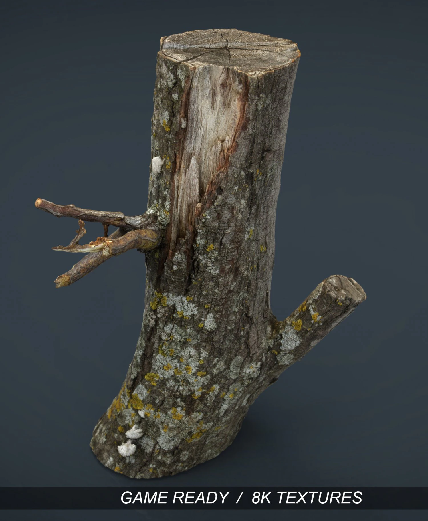 wood log 3 3D Model .c4d .max .obj .3ds .fbx .stl .blend
