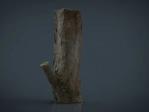 wood log 3 3D Model