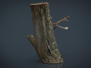 wood log 3 3D Model