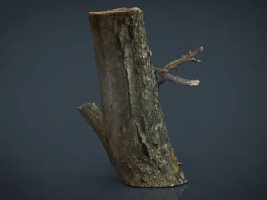 wood log 3 3D Model