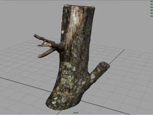 wood log 3 3D Model