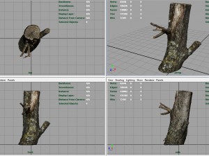 wood log 3 3D Model